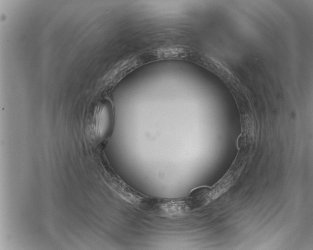 X0000069380761200605192149