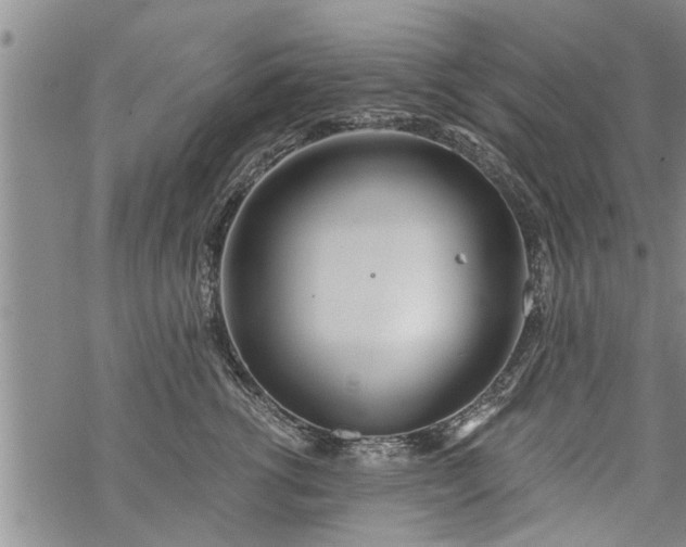 X0000069380762200605192149