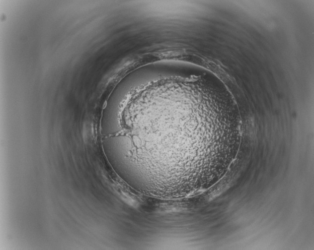 X0000069380763200605192149