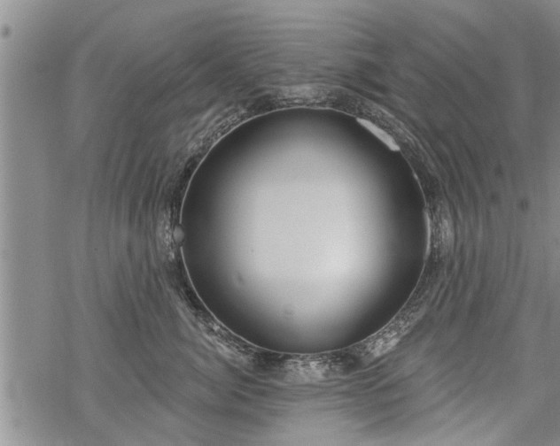 X0000069380764200605192149