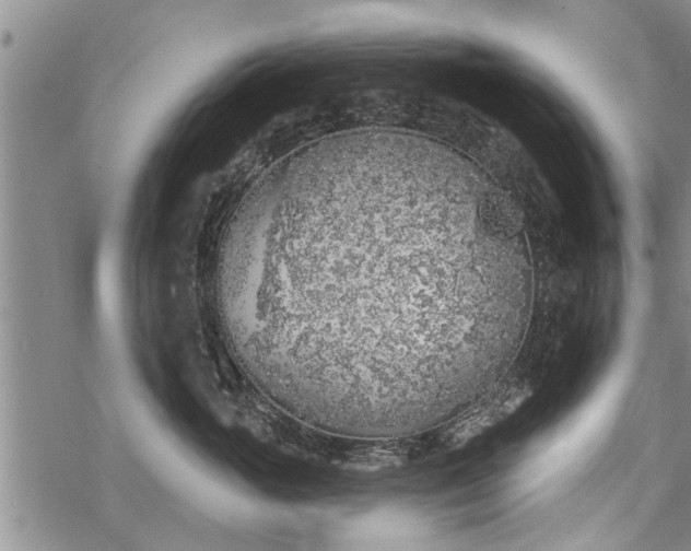 X0000069380765200605192149