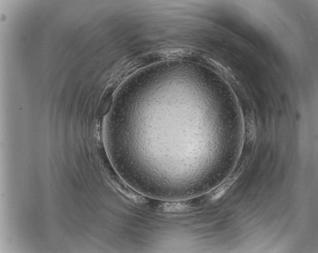 X0000069380766200605192149