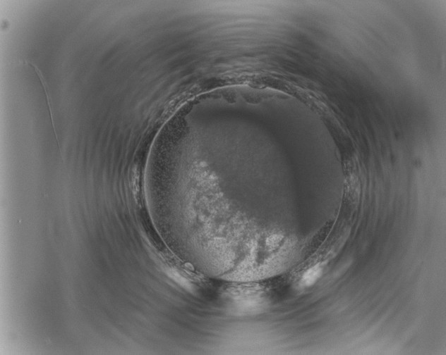 X0000069380767200605192149