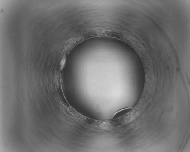 X0000069380768200605192149