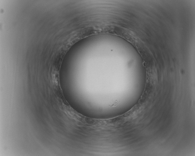 X0000069380770200605192148