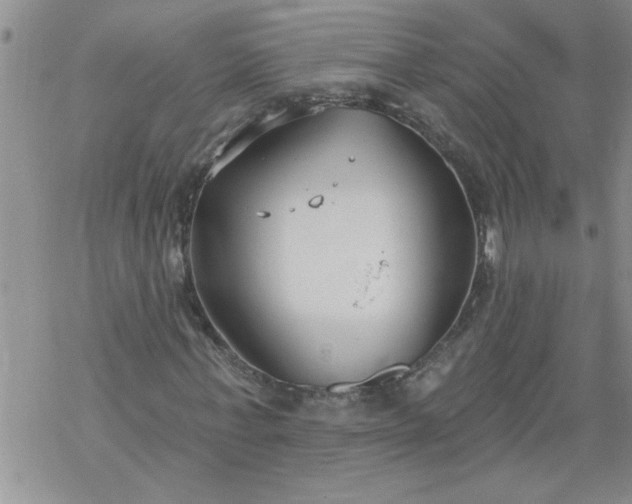 X0000069380771200605192148