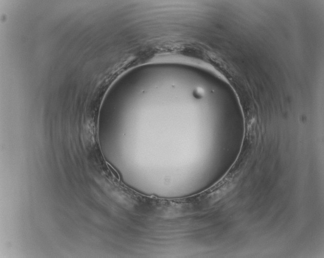 X0000069380772200605192148