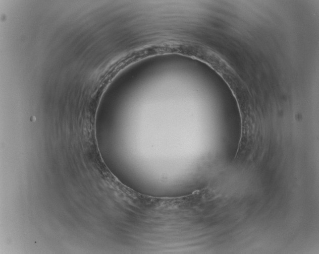 X0000069380773200605192148