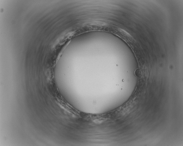 X0000069380774200605192148