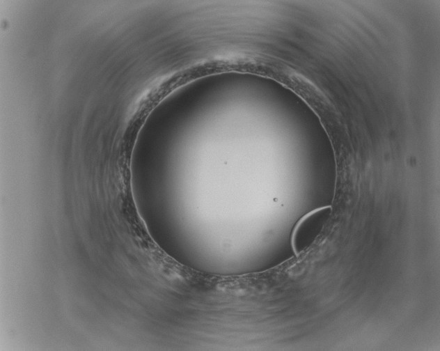 X0000069380776200605192148