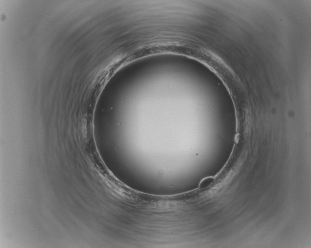 X0000069380777200605192148