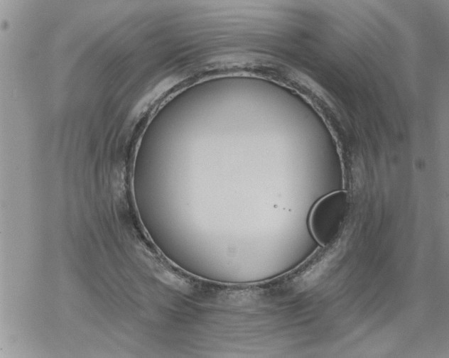 X0000069380778200605192148