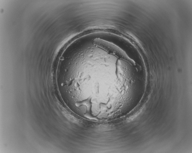 X0000069380779200605192148