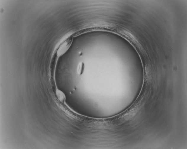 X0000069380780200605192148