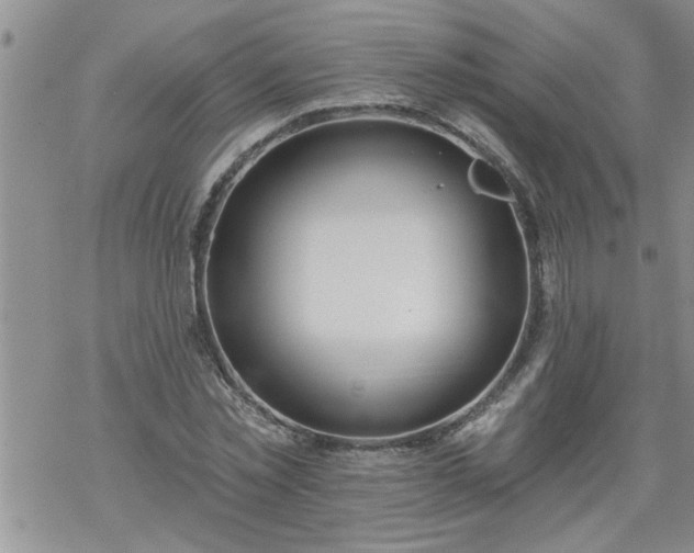 X0000069380781200605192148