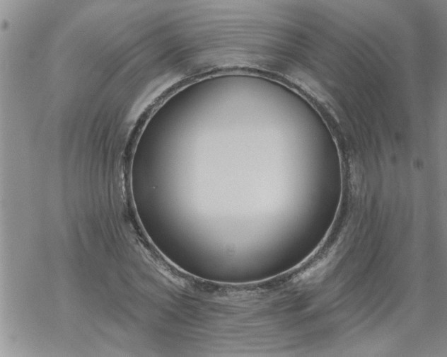 X0000069380782200605192148