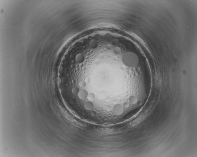 X0000069380783200605192148