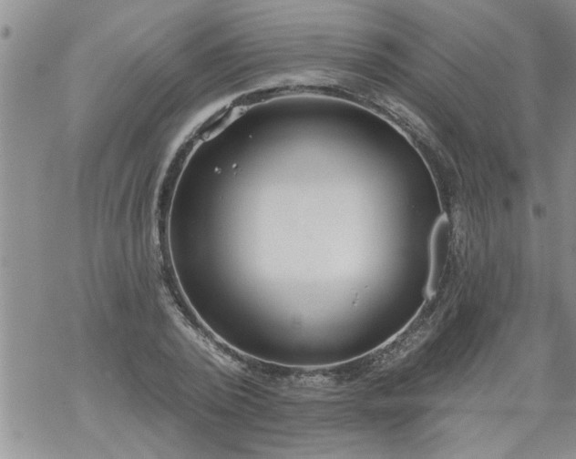 X0000069380784200605192148