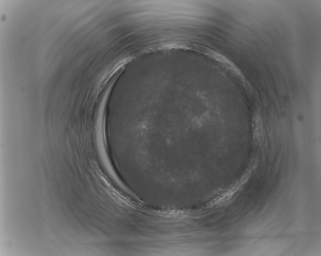 X0000069380785200605192148