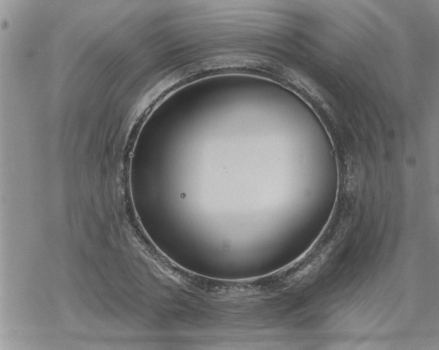 X0000069380786200605192148