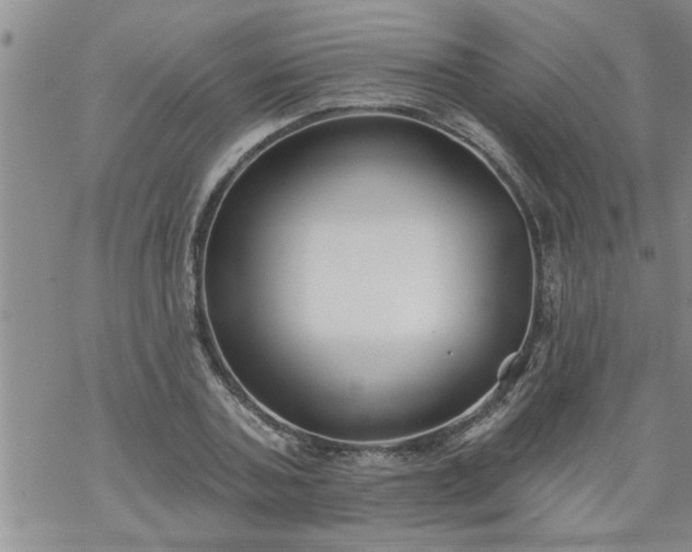 X0000069380787200605192148