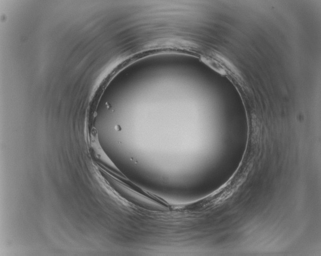 X0000069380788200605192148