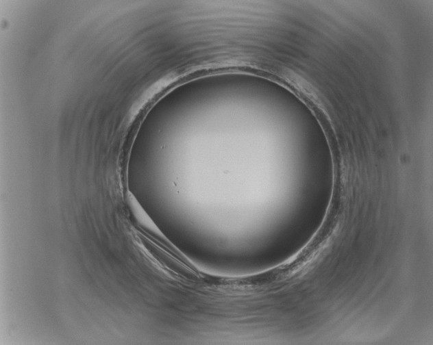 X0000069380789200605192148