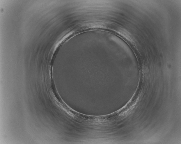 X0000069380790200605192148