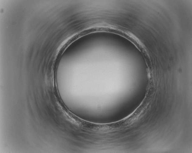 X0000069380791200605192148