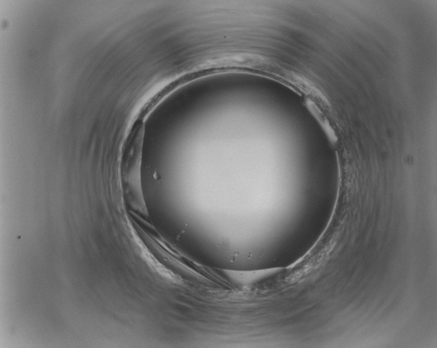 X0000069380792200605192148