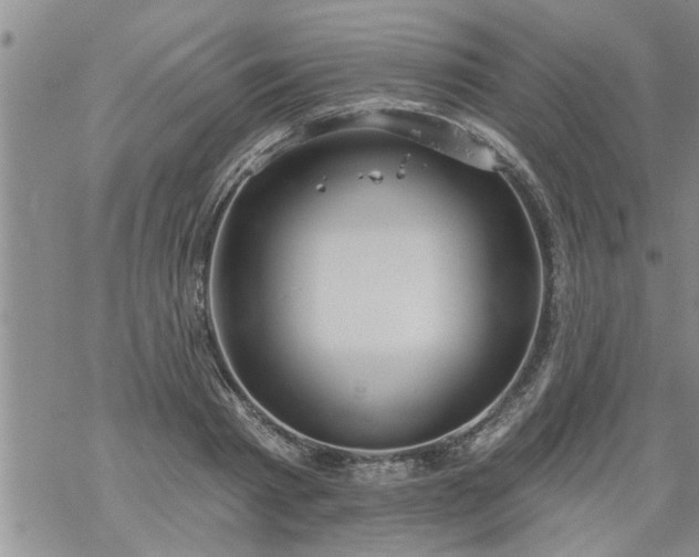 X0000069380793200605192148