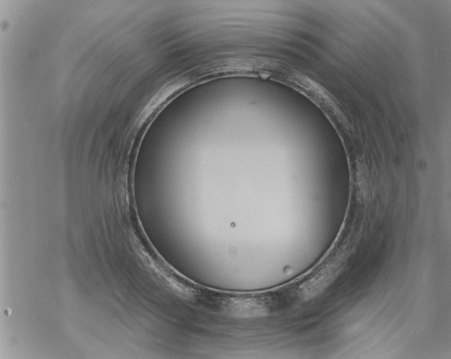 X0000069380794200605192148