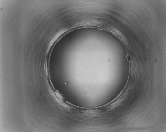 X0000069380796200605192147