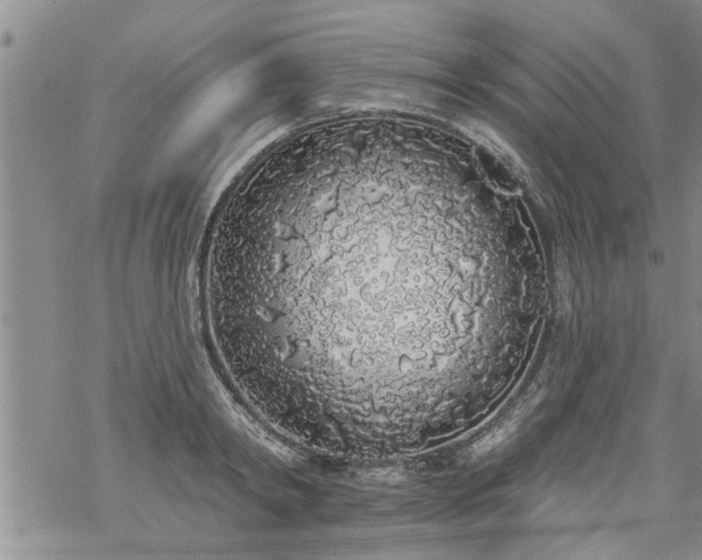 X0000069380798200605192147