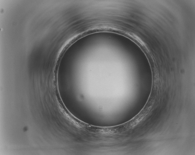 X0000069380799200605192147