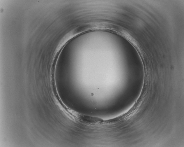 X0000069380803200605192147