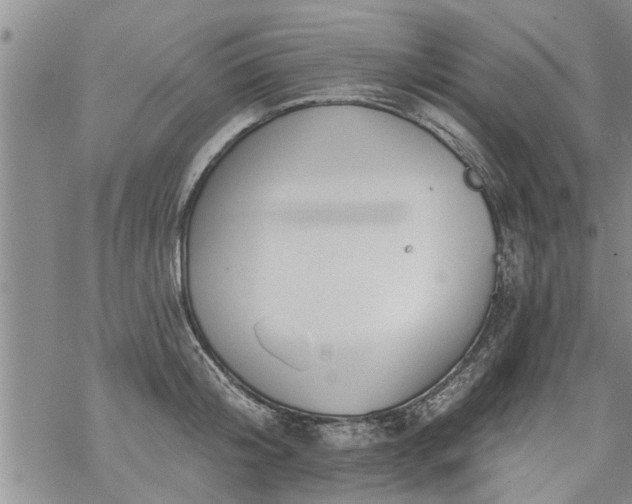 X0000069380804200605192147