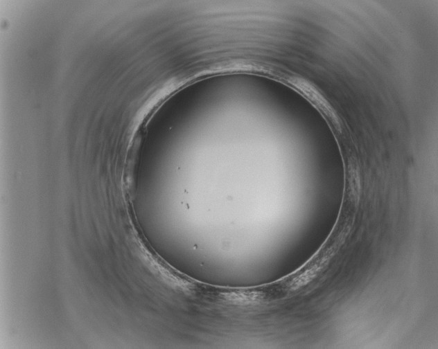 X0000069380805200605192147