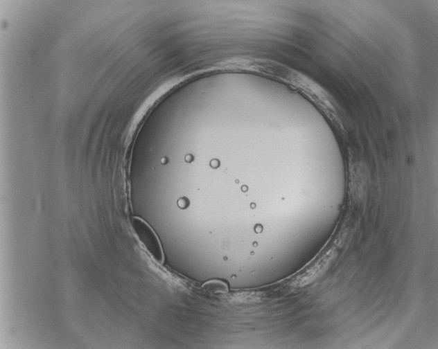 X0000069380808200605192147