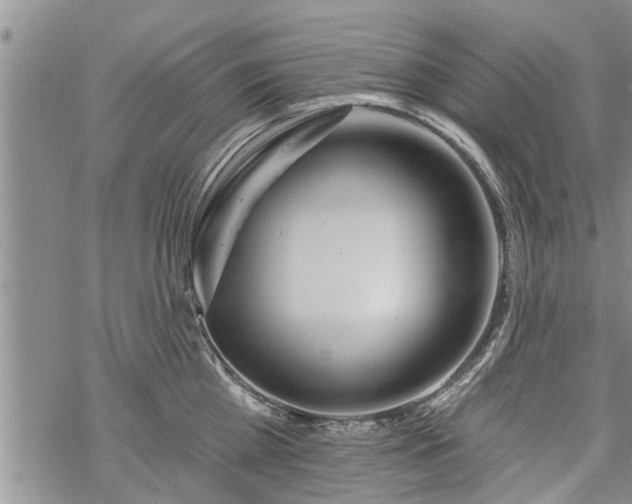 X0000069380809200605192147