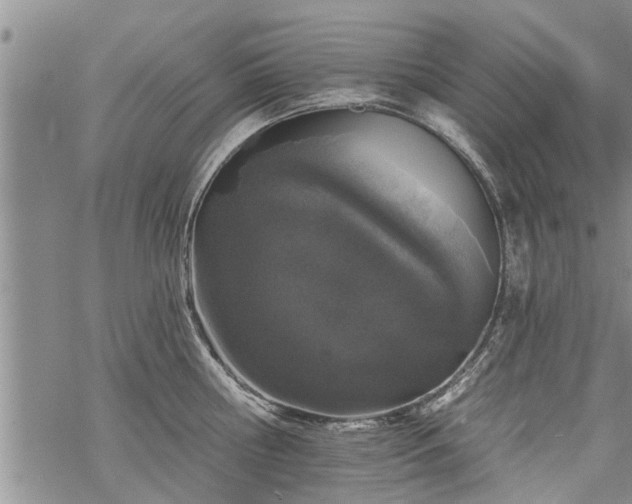 X0000069380810200605192147