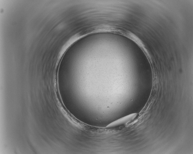 X0000069380811200605192147