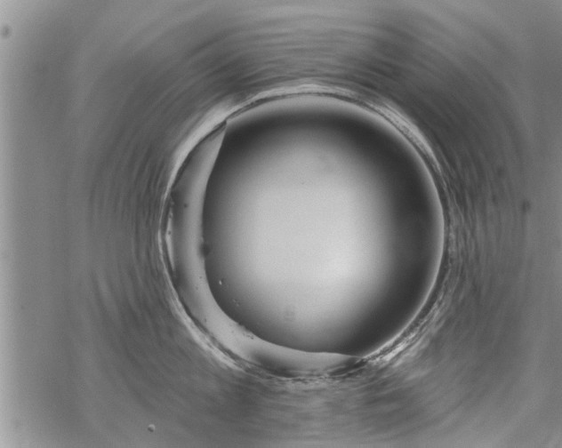 X0000069380813200605192147