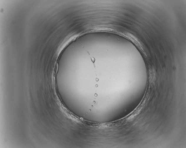 X0000069380814200605192147