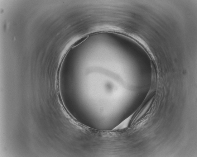 X0000069380815200605192147