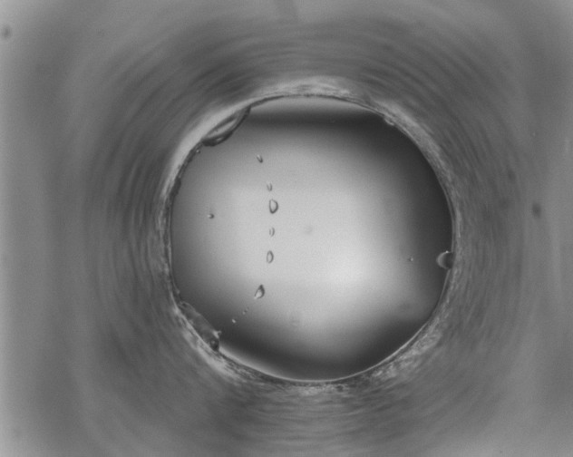 X0000069380816200605192147