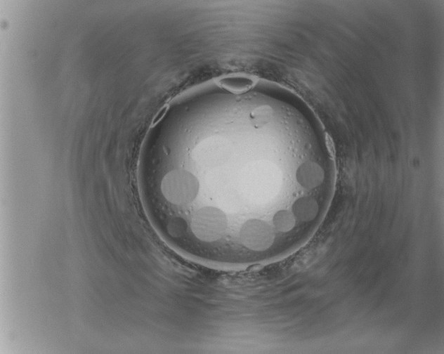 X0000069380817200605192146