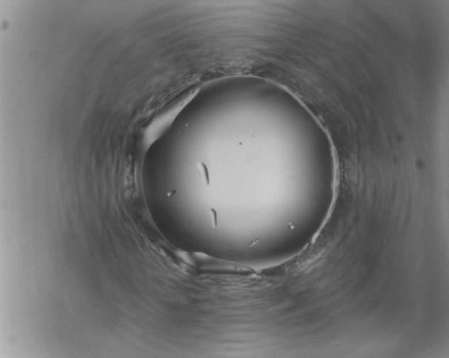 X0000069380818200605192146