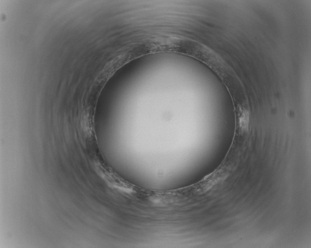 X0000069380819200605192146