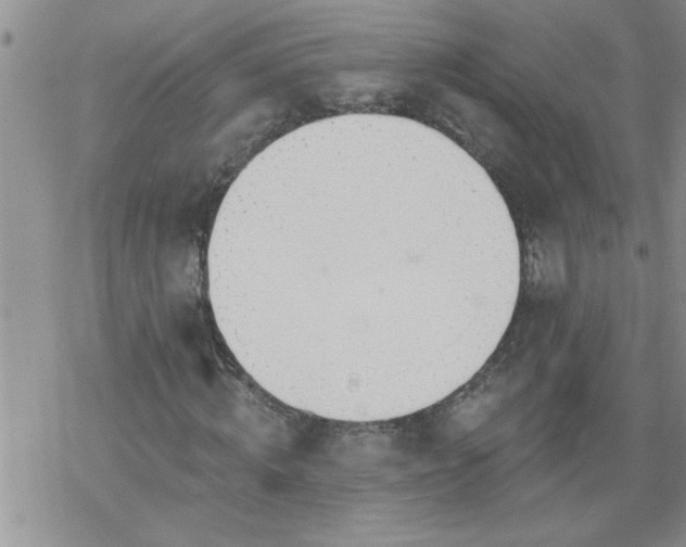 X0000069380820200605192146